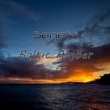 Portada para "Baltic Amber"