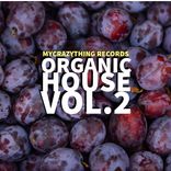 Artwork voor "Organic House, Vol. 2"