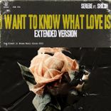 Artwork voor "I Want to Know What Love Is (Extended Version)"