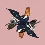 Artwork for "London. Paris. Berlin."