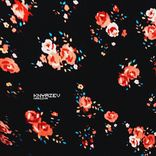 Artwork for "Harizma"