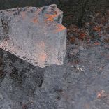 Artwork for "Reverberation"