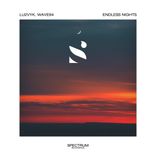 Artwork für "Endless Nights"