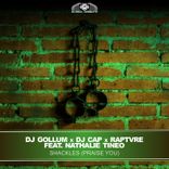 Portada para "Praise You"