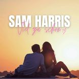 Artwork for "Viel Zu Schön"