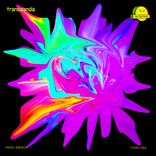 Artwork für "Trancelandia"