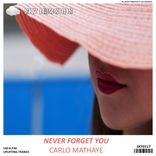 Artwork voor "Never Forget You"