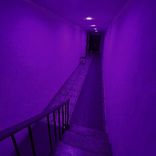 Artwork for "Grey Dayz"