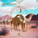 Artwork voor "Haramt Ahebak"