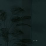 Artwork for "Illusory"