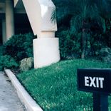 Going Against The Grain