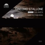 Artwork for "Sulawesi"