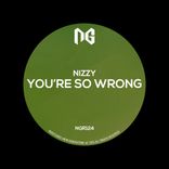 Artwork for "You're So Wrong"