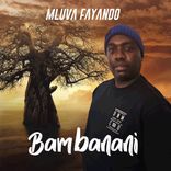 Portada para "Bambanani"