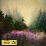 Artwork for "Reception | Plants"