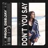 Artwork for "Don't You Say"