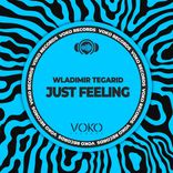Artwork for "Just Feeling"