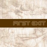 Artwork voor "First Exit"