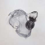 Artwork voor "My Fires"