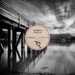 Artwork for "Chimercial"