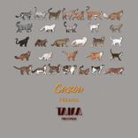 Artwork for "Perinol"