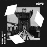 Artwork for "Part Of Me"