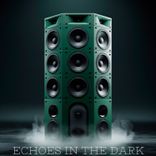 Artwork for "Echoes in the Dark"