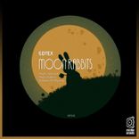 Artwork for "Moon Rabbits"