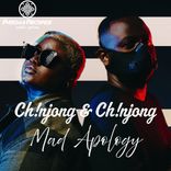 Artwork for "Mad Apology"