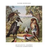 Artwork for "An Eclectic Journey Through Downtempo"