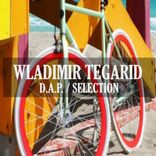 Portada para "D.A.P. / Selection"