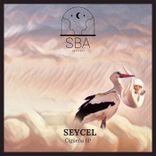 Artwork voor "Cigüeña"