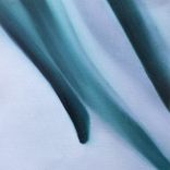 Artwork voor "In Praise Of The Plant"