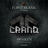Artwork for "Awaken (Cranq Anthem 2015)"