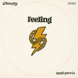 Artwork voor "Feeling"