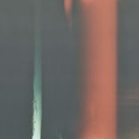 Artwork voor "Flamingo Tripper"