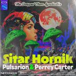 Artwork for "Sitar Hornik"