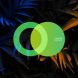 Portada para "Dominant"