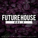 Artwork for "Future House, Vol.3"