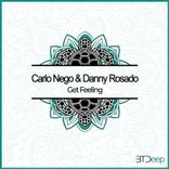 Artwork voor "Get Feeling"