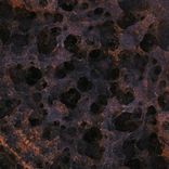 Artwork voor "Sueños Sinteticos"