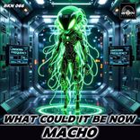 Portada para "What Could It Be Now"