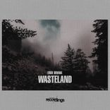 Artwork for "Wasteland"
