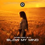 Artwork for "Slow My Mind"