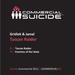 Artwork voor "Tuscan Raider"