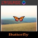 Artwork for "Butterfly"