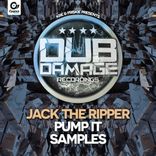 Artwork for "Pump it up / Samples"