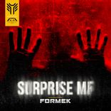 Artwork for "Surprise MF"