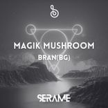 Artwork voor "Magik Mushroom"