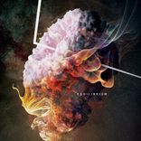 Artwork for "Time Crystals Pt. 4 - Equilibrium"